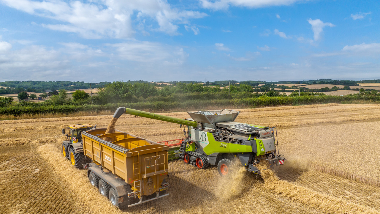 20261027102650_grain-chaser-bin