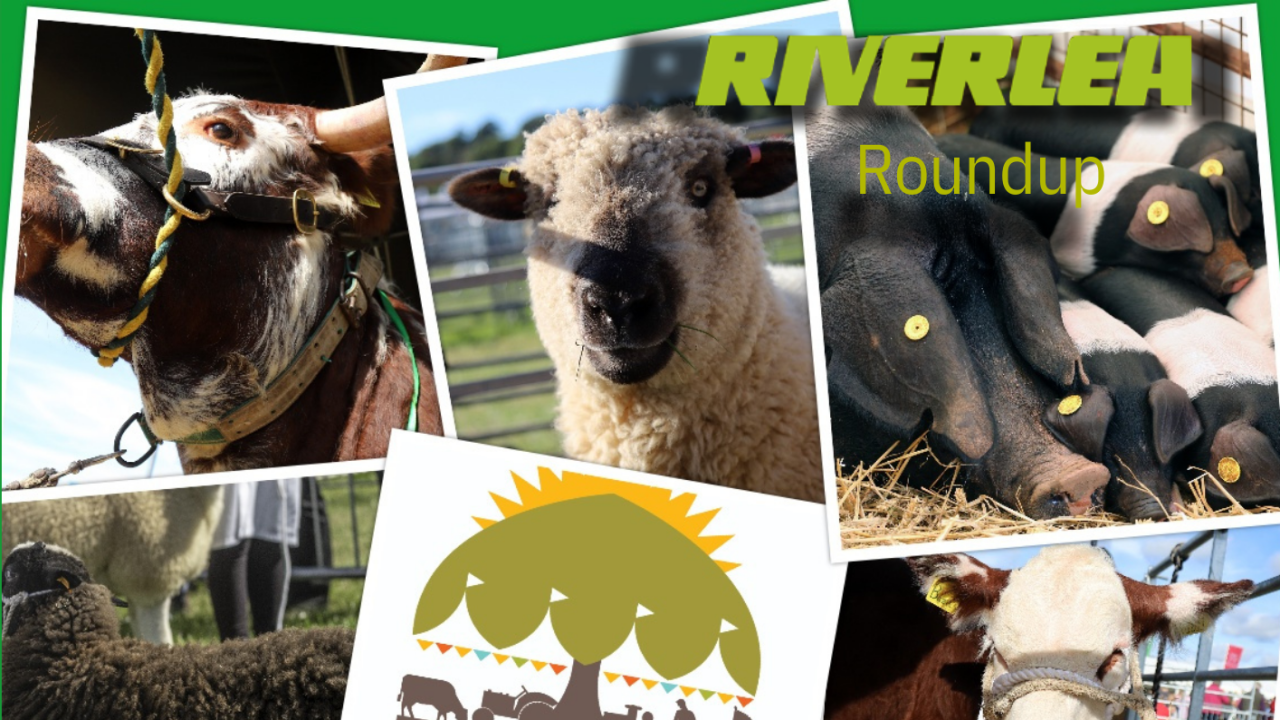 20260108135749_september-round-up-2025-a4