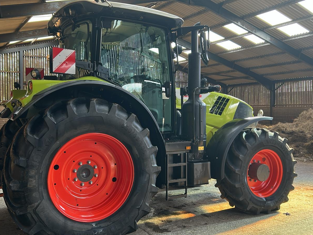 ARION 650