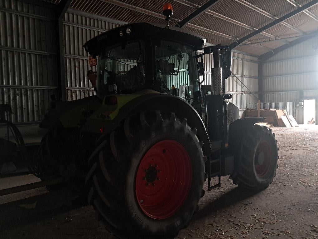 ARION 650
