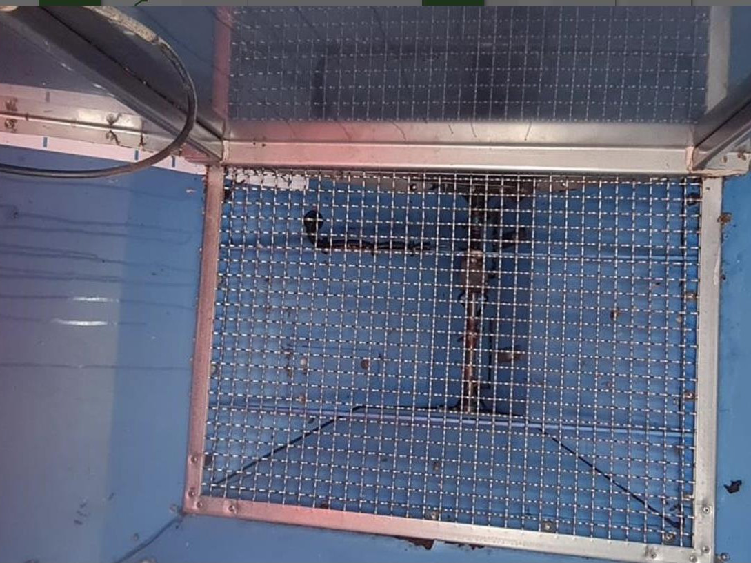 SOLITAIR 9/ZIRKON 12