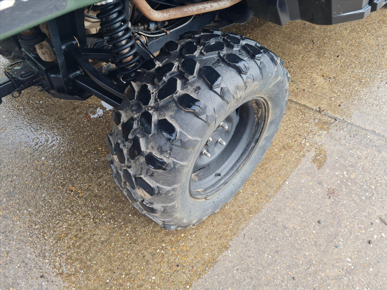 17d75c55-1f1a-4764-97d5-ab3c1d83bcd0