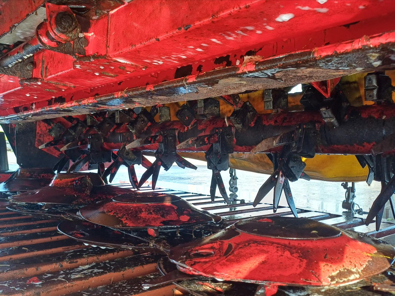 81cfe4aa-4ba5-431f-8667-93e5555d0e05