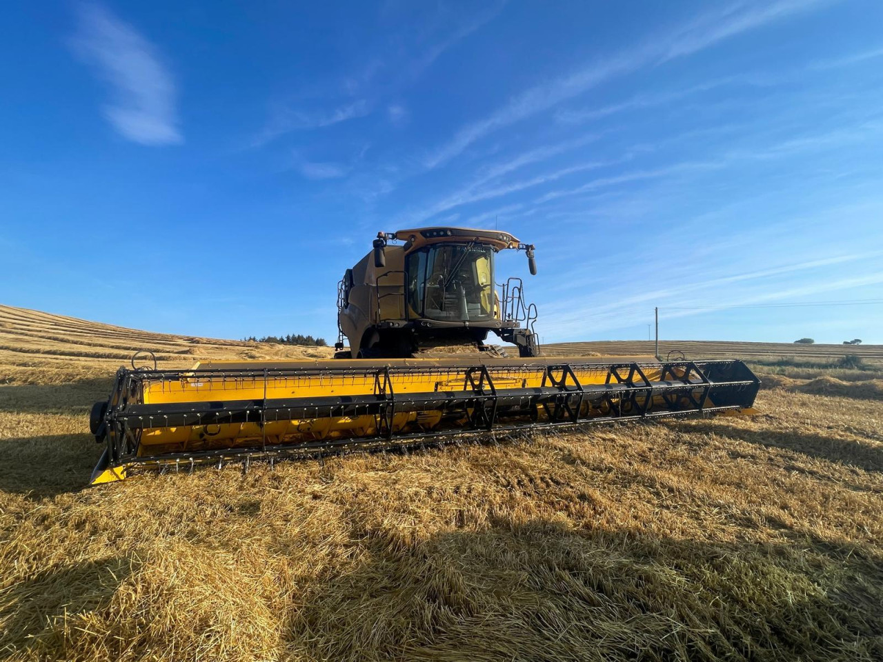 d81feaa3-4c35-49d8-b318-b519db8a8076