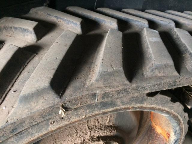 ff523595-5b33-45ad-a09b-9d2c3db0a02a