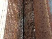 65292bed-6add-41ca-865a-36534e903a20