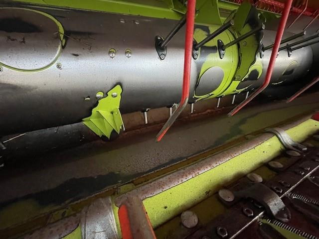 c67598bd-ef54-4341-aefc-55127282e373