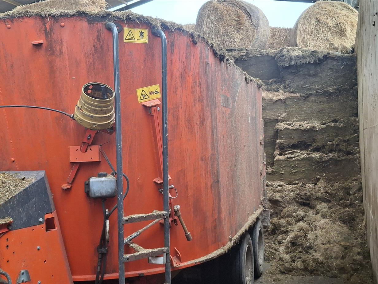 74c2ff3b-04bc-49cc-874e-12040685b4ce