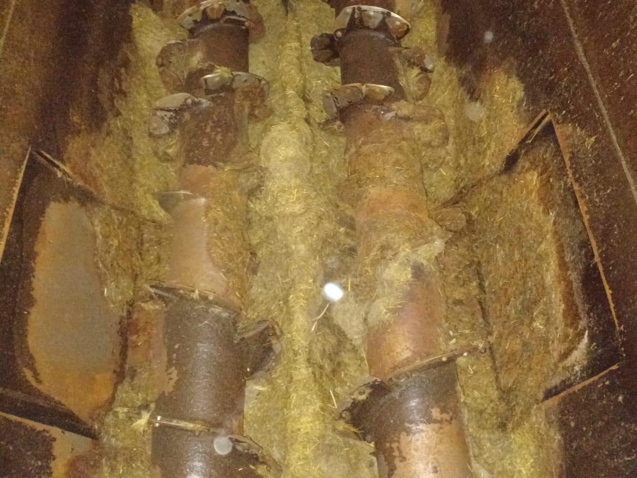 cccebafe-de00-43de-8b2b-9cfc49b81fe1