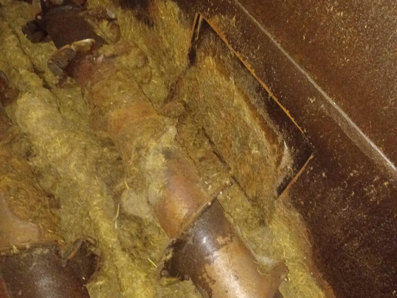 740f4962-4cad-424e-aa9f-6de66006a4a9