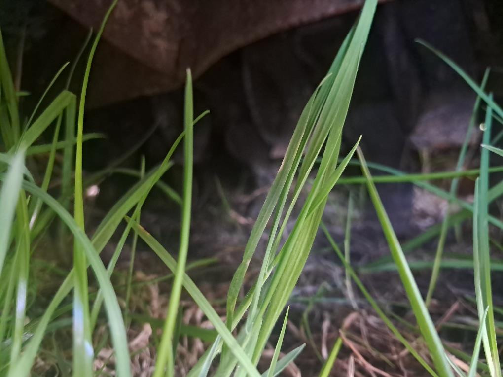 5d97beed-7787-442f-92af-b490f39170b6